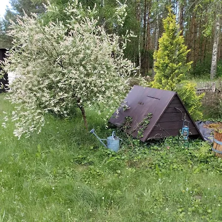 Dom wakacyjny Dom W Borach Tucholskich 24mousehouse *